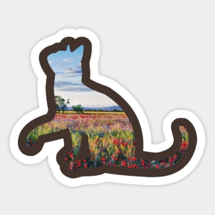 cat and nature Sticker